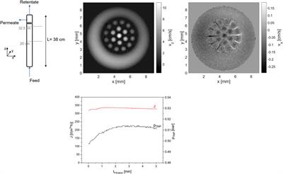 MRI on a new polymeric multichannel membrane for ultrafiltration